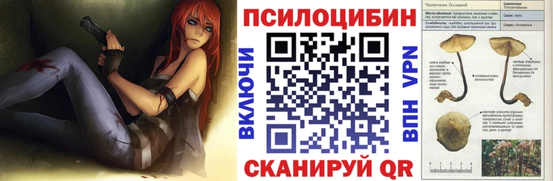 где продают   Ленск  Псилоцибиновые грибы Psilocybine cubensis 